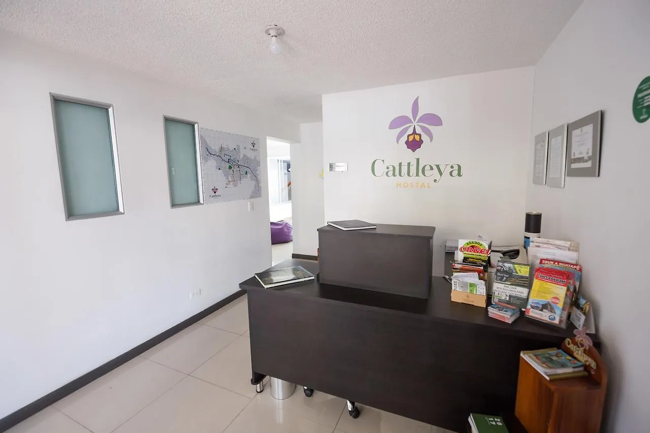 Hostal Cattleya מדיין